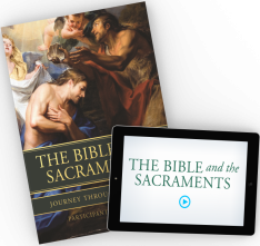 The Bible and the Sacraments Participant Workbook Bundle